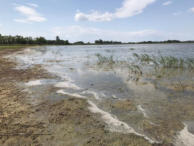 Für die Tierwelt soll nun wieder eine durchgängige Wasserfläche am Zicksee entstehen. | Foto: Beate Wurm