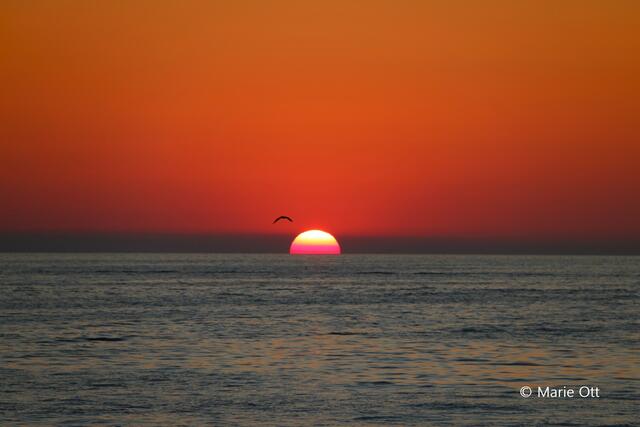 Sonnenuntergang, Foto