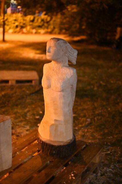 Nachtbild ohne Blitz. 