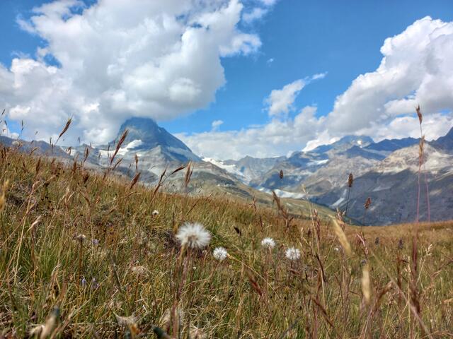 Am Matterhorn Richtung Rifflsee und Gornergrat (SCHWEIZ) | Foto: Lisa Putz