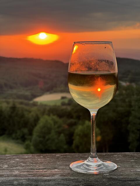 Michael Dirneder ; Krist Alm , am Steinriegl 3413 St.Andrä Wördern