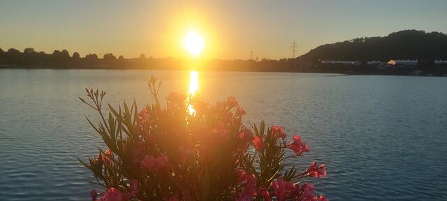 Urlaub zu Hause,Badesee Kreuzenstein,wo es am schönsten ist