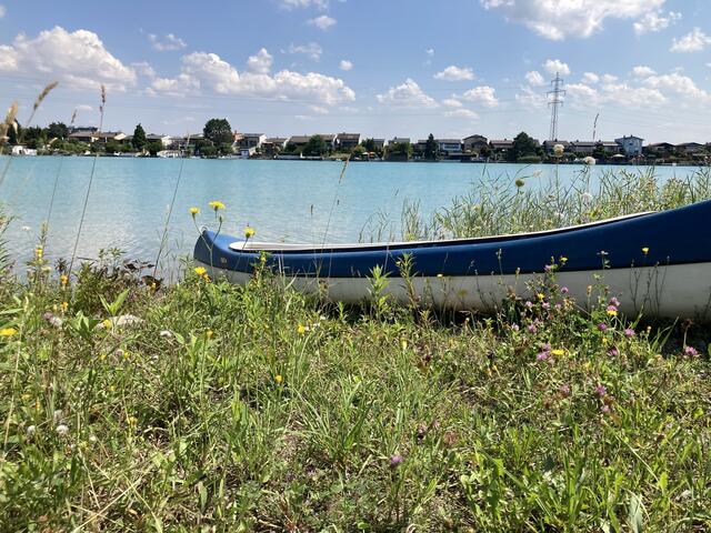 ein wunderschönes Platzerl an einem See in Niederösterreich zum Entspannen bei türkisfarbenen Wasser &amp; Ruhe