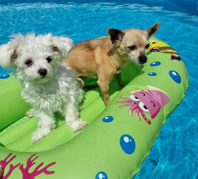 Schiff ahoi
Meggie und Sally on board