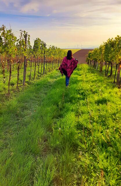 Bei einem Kurzurlaub zwischen den Weiniertler Weinreben tanzt mein Herz..und ich mit ihm....Das ist Urlaub für mich... | Foto: Urheber bin ich