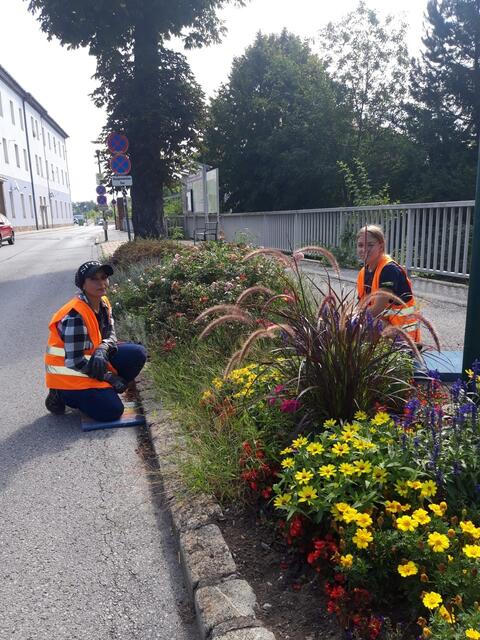 Blumenpflege durch das Bauhofteam Gloggnitz. | Foto: René Blum