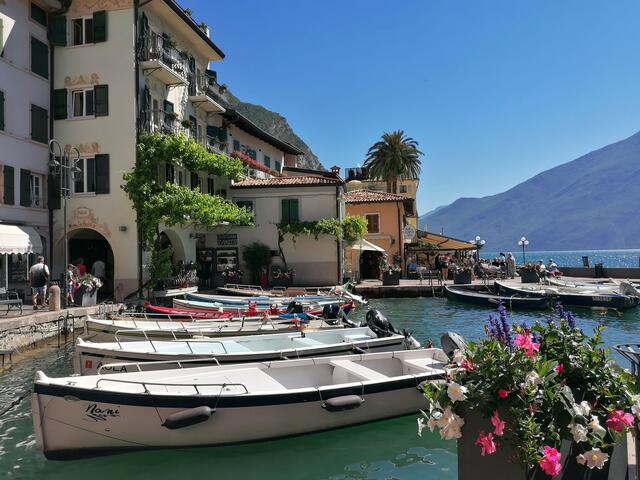 Limone am Gardasee | Foto: Josef Mühlhofer
