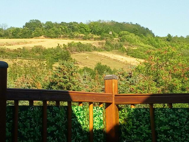 An die Redaktion Bezirksblatt
Früher ging`s alleweil nach Italien Venedig/Chioggia/Villagio Touristika in einen kleinen Strandbungalow zum Urlauben – Heute haben wir unsere Heimat im schönen Weinviertel gefunden – in unserer eigenen Wohneinheit – mit viel Grün rundherum, unendlichen Spaziergängen und keinem „Urlaubsstress“. Liebe Grüsse – glückliche Familie Kailich.
 | Foto: Kailich