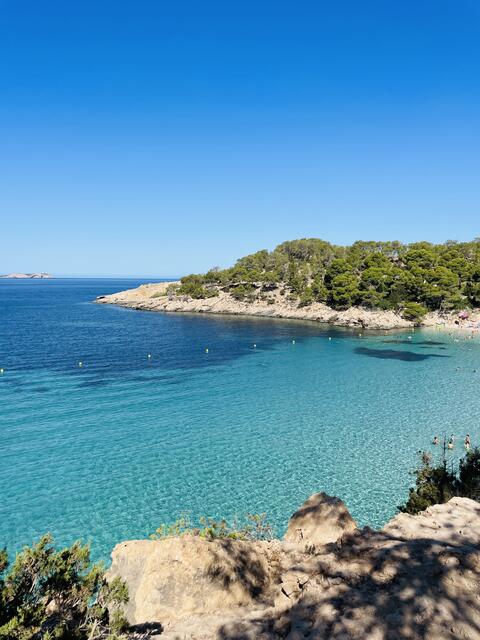 Blick auf die Bucht Cala Saladeta auf IBIZA mit traumhaft türkis-klarem Wasser 🩵