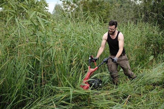 Mit dem Balkenmäher wird die Fläche vom Schilf befreit. | Foto: LPV/Jennifer-Florian Fischer