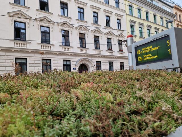 Das Wartehäuschen in der Huglgasse hat jetzt ein grünes Dach.  | Foto: BV15