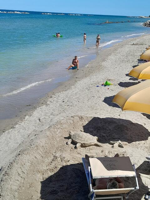 Schildkröte und Seestern aus Sand | Foto: Mein Bild