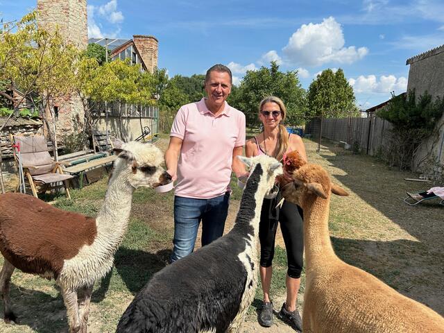 Karin Haumer lud zu ihren Alpakas ein. Auch der Bezirkschef folgte der Einladung.  | Foto: BV11