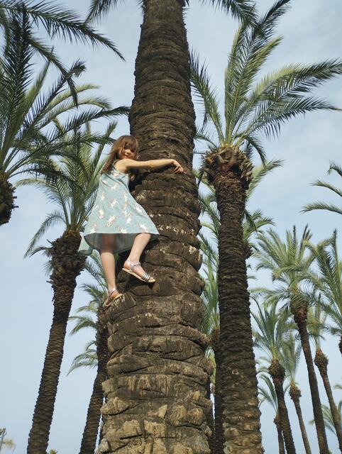 Unsere Grosse Maus will hoch hinaus  | Foto: Urlaubsfoto aus der Türkei 