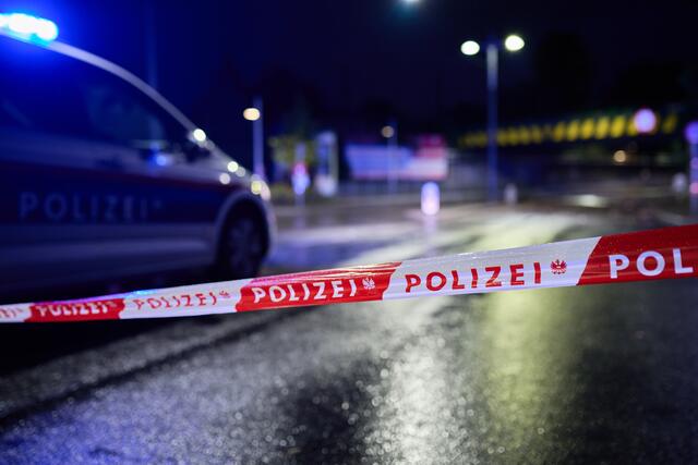 Ein schweres Gewitter, das neben viel Regen auch Hagel mit sich brachte, hatte am Wochenende Wien heimgesucht. Hohe Schäden gibt es auch im Weinbau. | Foto: MAX SLOVENCIKWIEN / APA / picturedesk.com