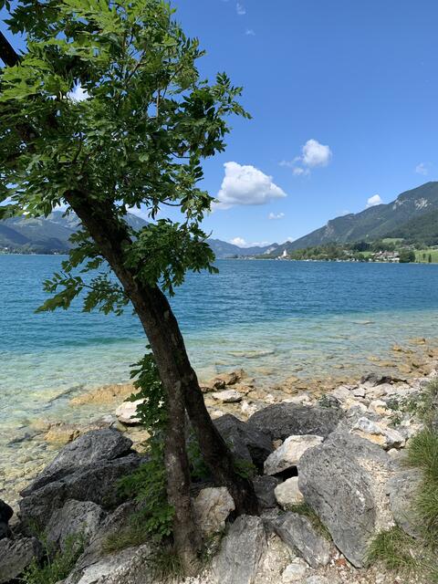 Urlaub am Wolfgangsee  | Foto: Grünauer Karina 