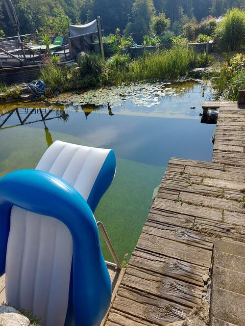 Urlaub in unserem Garten ist immer etwas tolles.