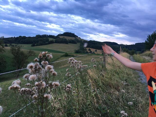 Blick auf den Hochsteinberg 