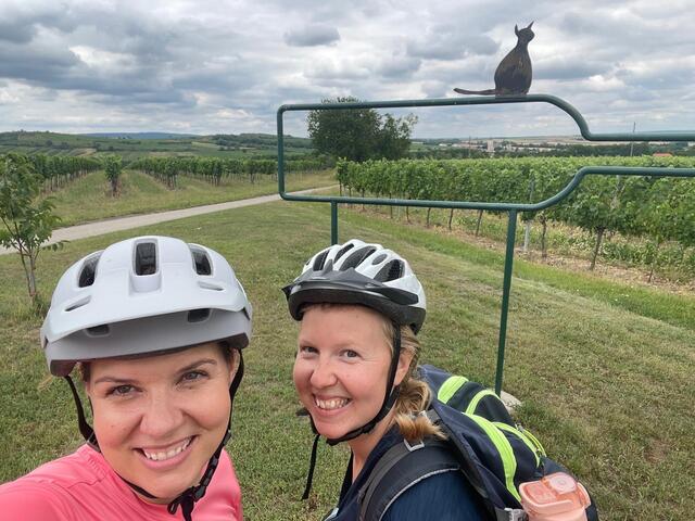 Radurlaub im schönen Weinviertel(Retzer Land)  | Foto: Agnes Satzinger