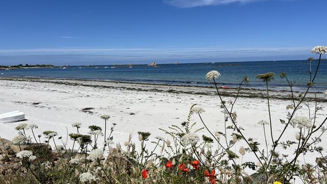 Bei Roscoff in der Bretagne