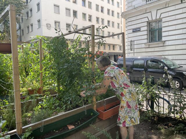 Foto: Nieschalk/MeinBezirk