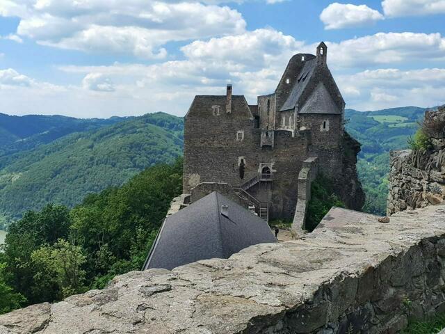 Burgruine Aggstein - als wär man irgendwo in Schottland 