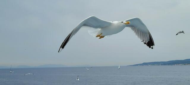 Gefühl von Freiheit im Sommer in Griechenland