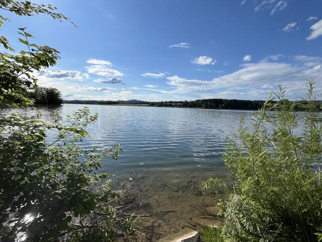 Am Wallersee Ufer 