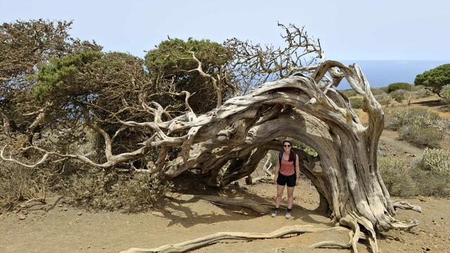 Wandern auf El Hierro | Foto: Sophia Böhm