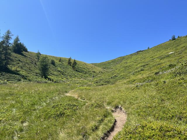 Es geht aufwärts! | Foto: Franziska Pronneg