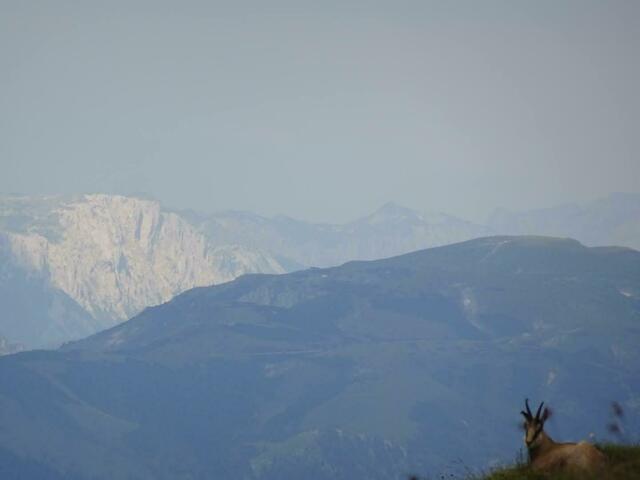Raxgams vor Steirerpanorama | Foto: Mathias Fink