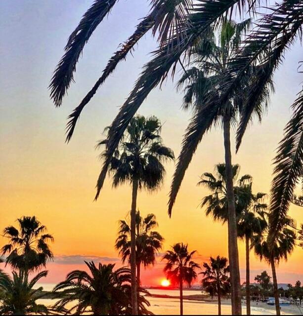 Sonnenuntergang in Paphos. CYPRUS