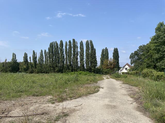 Foto: Rosa Besler/meinbezirk