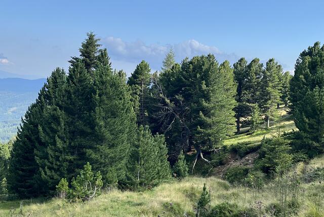 Wohin so eilig? | Foto: Franziska Pronneg