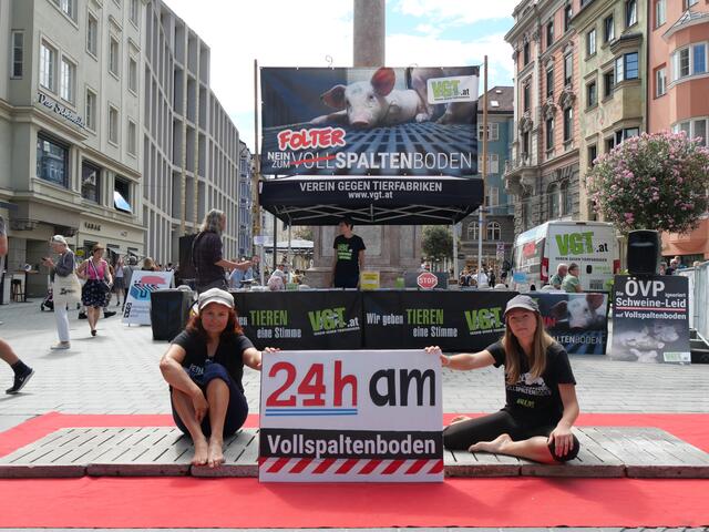 Die Aktion in der Innsbrucker Innenstadt startete am 20. August um 11:00 Uhr. | Foto: VGT.at