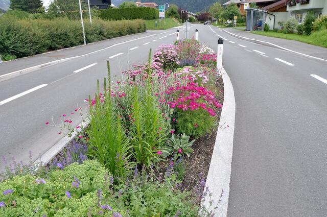 Die Mittelinseln werden jeweils Bäume zieren. | Foto: Kogler (Symbolbild)