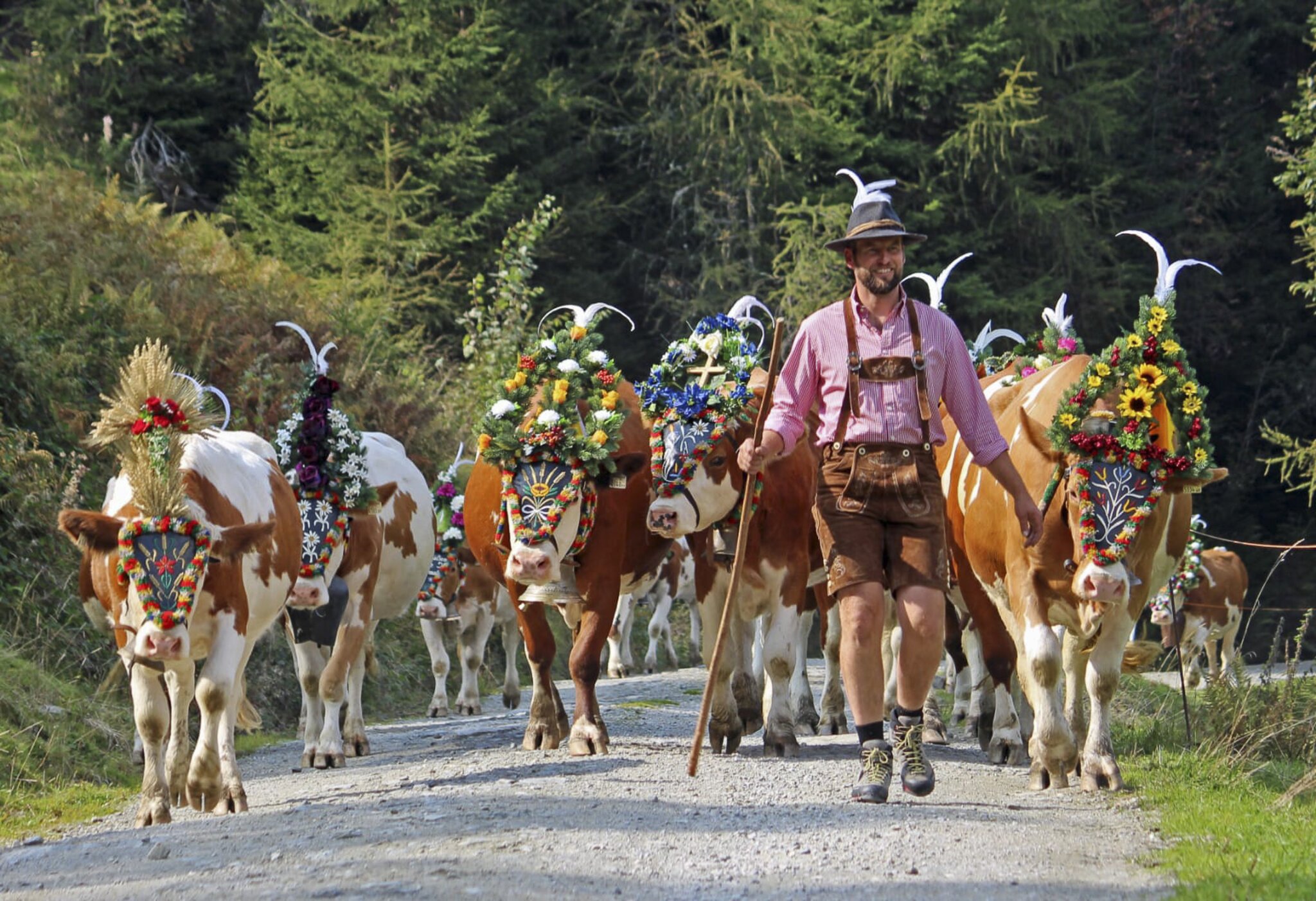 Servus-TV-zeigt-h-chsten-Genuss-im-Alpbachtal