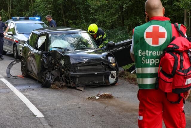 Foto: laumat/Matthias Lauber