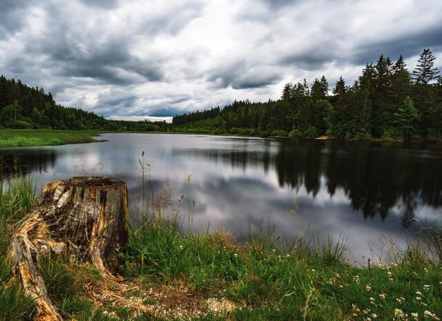 Das Tannermoor in Liebenau. | Foto: Gemeinde