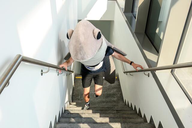 Der Treppenlauf findet das erste Mal seit 2019 wieder im Haus des Meeres statt.  | Foto: Dominik Moser