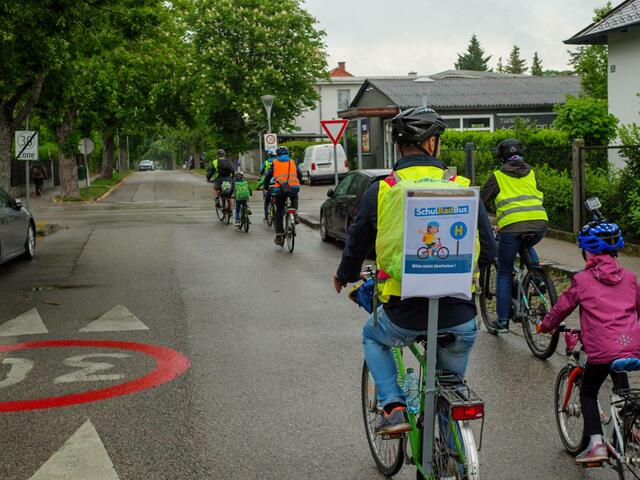 Sicher in die Schule radeln: Der SchulRadBus fährt in Bad Vöslau jeden Freitag zur Volksschule Raulestraße.  Es handelt sich um ein landesweites Pilotprojekt. | Foto: Radlobby Bad Vöslau