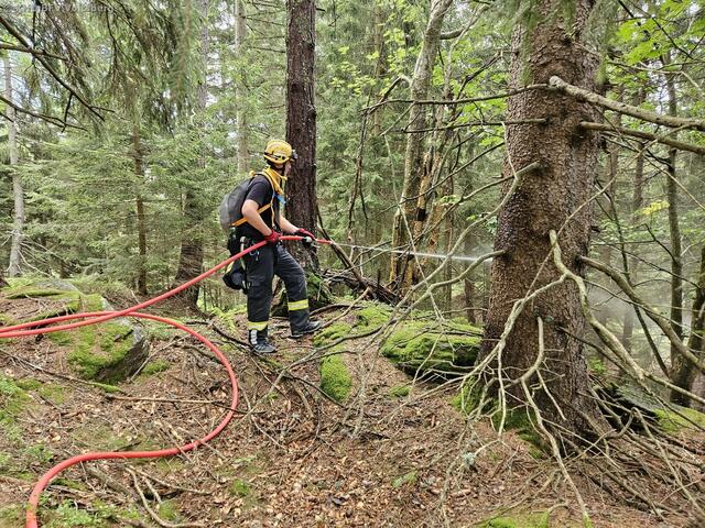 Es galt eine Ausbreitung des Feuers zu verhindern. | Foto: BFV Voitsberg