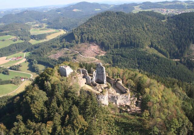 Die Ruine Ruttenstein in Pierbach. | Foto: Gemeinde