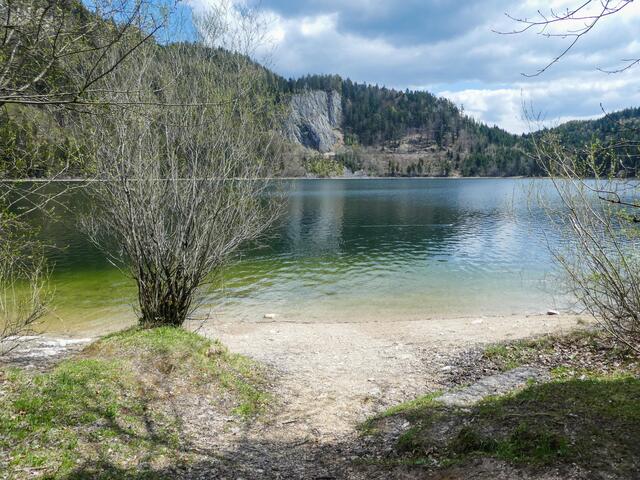 Nordufer Schwarzensee | Foto: Eva Maria Ginal