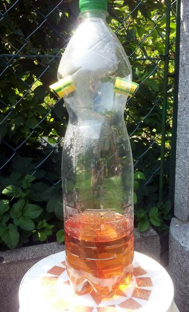 PET - Flasche ganz einfach in eine wirkungsvolle WESPENFALLE verwandeln. 
SEHR WICHTIG: Unbedingt ca. 2 bis 3 Meter vom Aufenthaltsort entfernt aufstellen oder aufhängen!