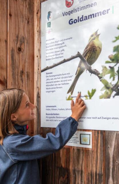 Der Vogelkundeweg in Gutau. | Foto: Gemeinde