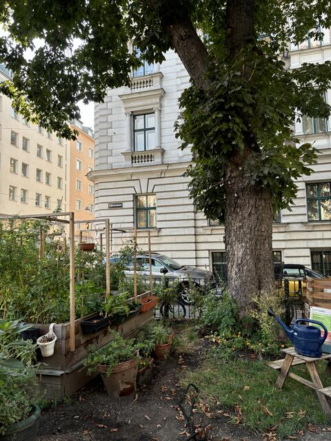 Foto: Nieschalk/MeinBezirk