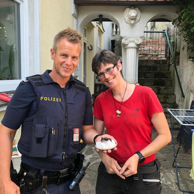 Ungewöhnlicher Einsatz für die Neunkirchner Stadtpolizei: Bezirksinspektor Alexander Leeb und Andrea Kinast von der Wildtierstation. | Foto: Stadtgemeinde Neunkirchen
