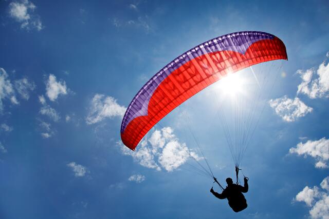 Der Paragleiter stürzte ab und landete in einer Baumkrone eines Fichtenbaumes.(Symbolfoto) | Foto: stock.adobe.com/at/Friedberg