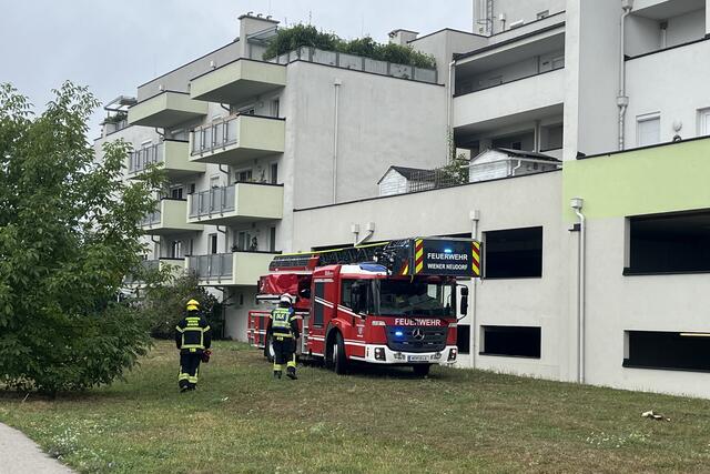 Bei der Festnahme bekam die Polizei auch Unterstützung durch die FF Wiener Neudorf. | Foto: Lukas Derkits / Feuerwehr Wiener Neudorf